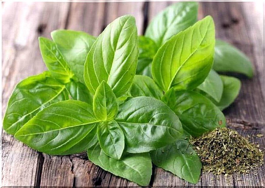 Basil is a home remedy for nervousness