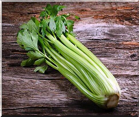 Colon cleansing food: celery