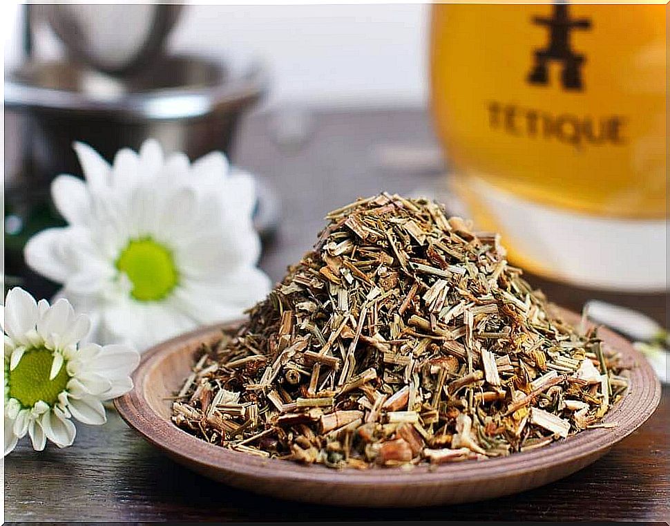 Herbal teas for hypothyroidism: St. John's wort