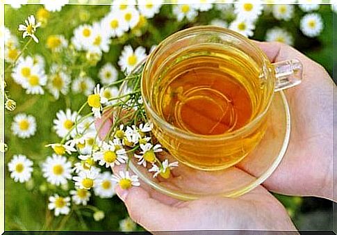 soothing teas: chamomile and linden blossom 