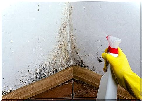 7 tips against moisture in the home
