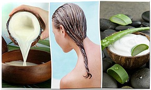 Aloe vera and coconut milk care for your hair