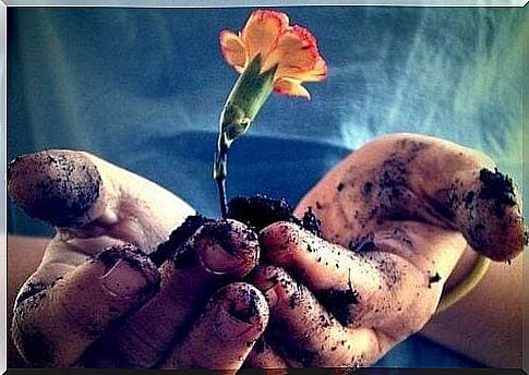 Hands with earth and a flower symbolize love and patience for coping with emotions
