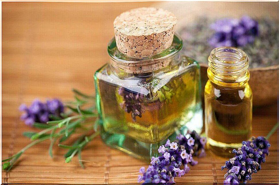 Lavender for aromatherapy