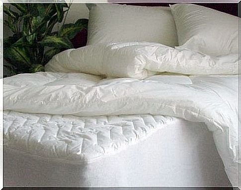 Find out how you can easily disinfect your mattress and pillows