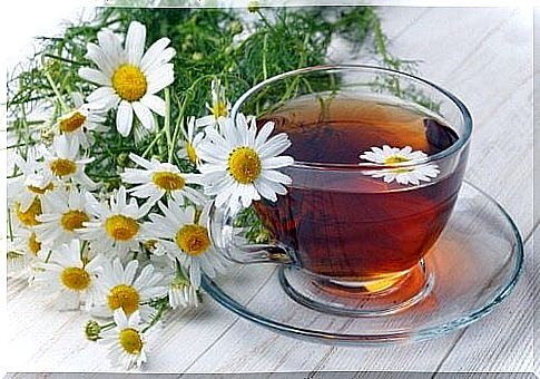 Chamomile for itching