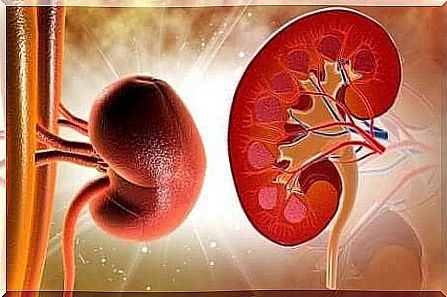 Interesting facts about hyperchloremic renal acidosis