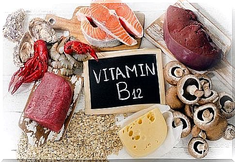 Interesting facts about vitamin B12