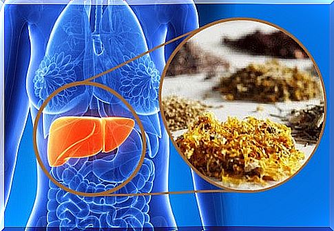 Medicinal herbs for liver cleansing