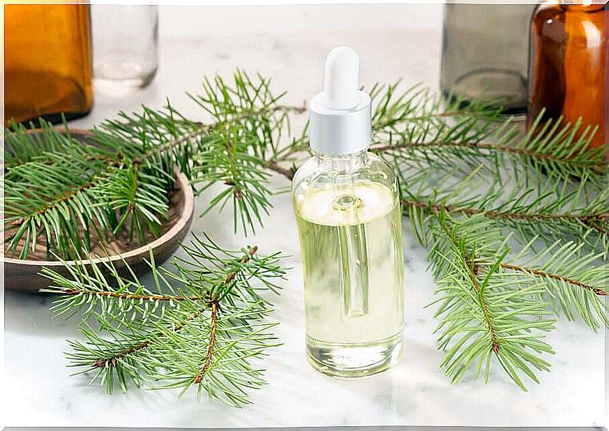 Pine essential oil for colds