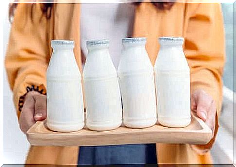 Skimmed or whole milk products: which is better?