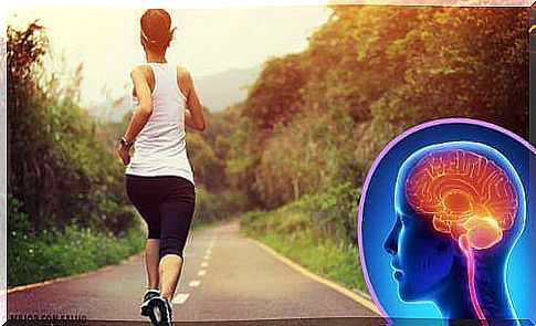 Too little exercise: this is how your brain changes