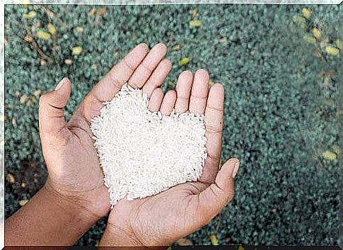 Whole grain rice - a handful of rice